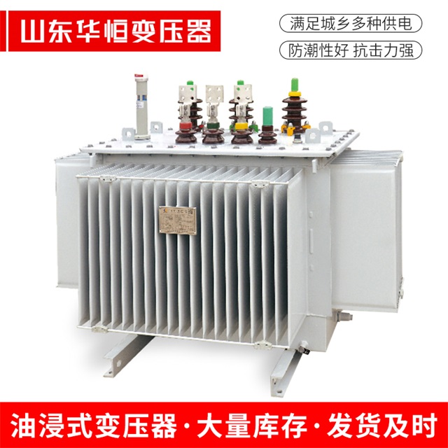 S13-10000/35公主岭公主岭公主岭电力变压器